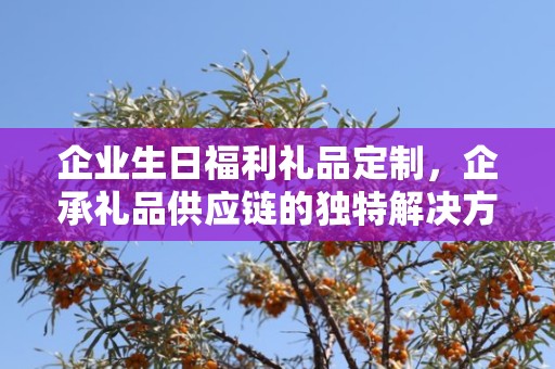 企业生日福利礼品定制，企承礼品供应链的独特解决方案