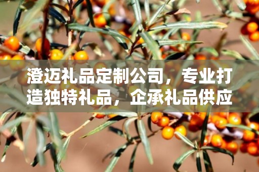 澄迈礼品定制公司，专业打造独特礼品，企承礼品供应链引领行业新风尚