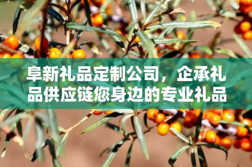 阜新礼品定制公司，企承礼品供应链您身边的专业礼品定制公司