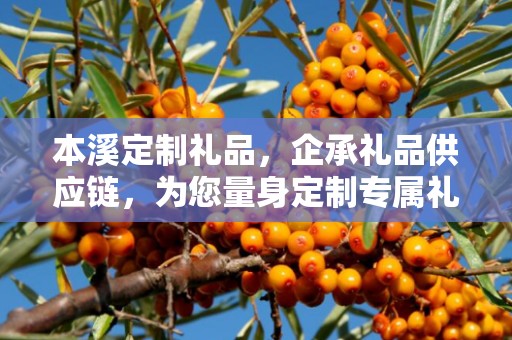 本溪定制礼品，企承礼品供应链，为您量身定制专属礼品