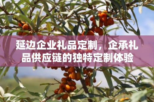 延边企业礼品定制，企承礼品供应链的独特定制体验