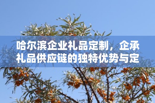 哈尔滨企业礼品定制，企承礼品供应链的独特优势与定制体验