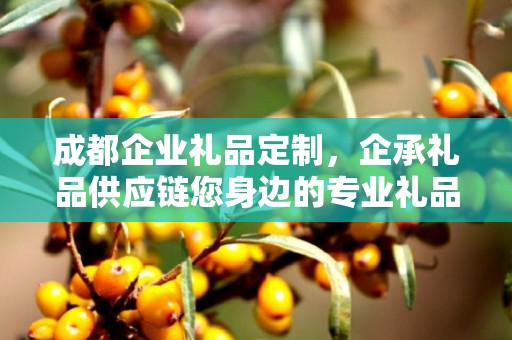 成都企业礼品定制，企承礼品供应链您身边的专业礼品定制公司