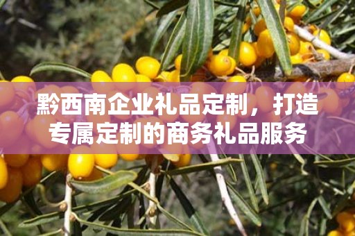 黔西南企业礼品定制，打造专属定制的商务礼品服务