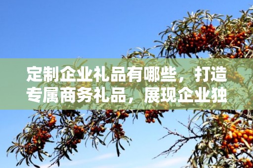 定制企业礼品有哪些，打造专属商务礼品，展现企业独特风采