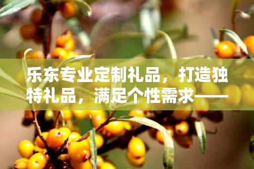 乐东专业定制礼品，打造独特礼品，满足个性需求——企承礼品供应链公司简述