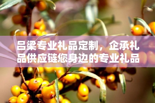 吕梁专业礼品定制，企承礼品供应链您身边的专业礼品定制公司