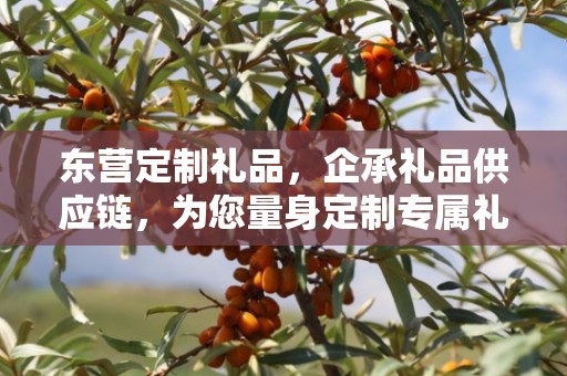 东营定制礼品，企承礼品供应链，为您量身定制专属礼品
