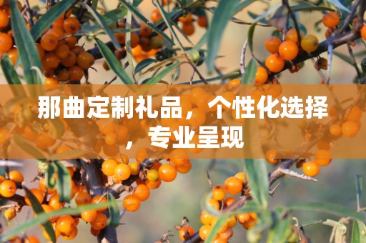 那曲定制礼品，个性化选择，专业呈现