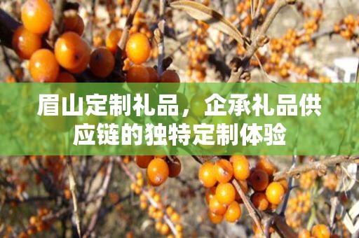 眉山定制礼品，企承礼品供应链的独特定制体验