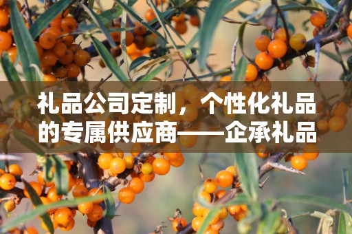 礼品公司定制，个性化礼品的专属供应商——企承礼品供应链公司介绍