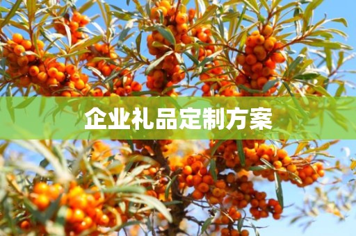 企业礼品定制方案