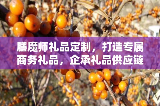 膳魔师礼品定制，打造专属商务礼品，企承礼品供应链为您呈现
